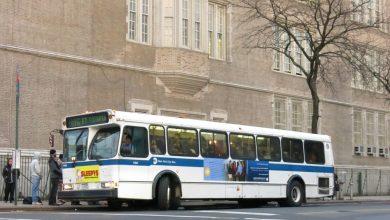 Cities Rethink Public Transport as Travel Patterns Change
