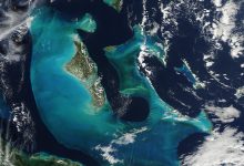 Deep-Sea Expeditions Keep Finding Life Where None Was Expected