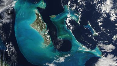 Deep-Sea Expeditions Keep Finding Life Where None Was Expected