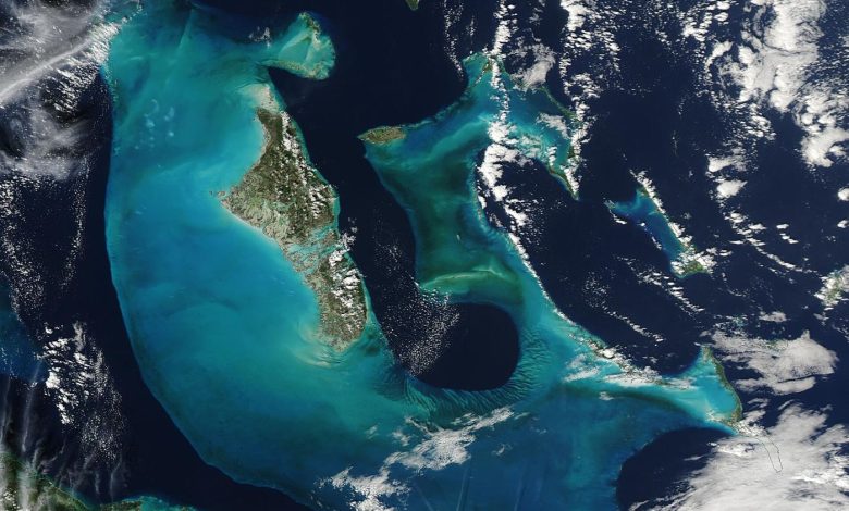 Deep-Sea Expeditions Keep Finding Life Where None Was Expected