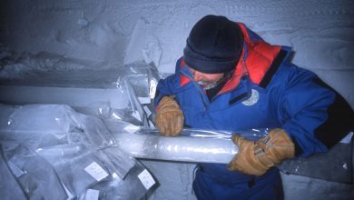 A scientist examining a drilled ice core sample